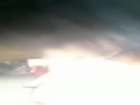 Leaked white babe masturbating and having dog oral sex